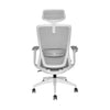 Sillón Ergonómico Premium SD5985